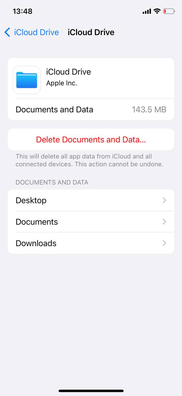 managing downloads in icloud