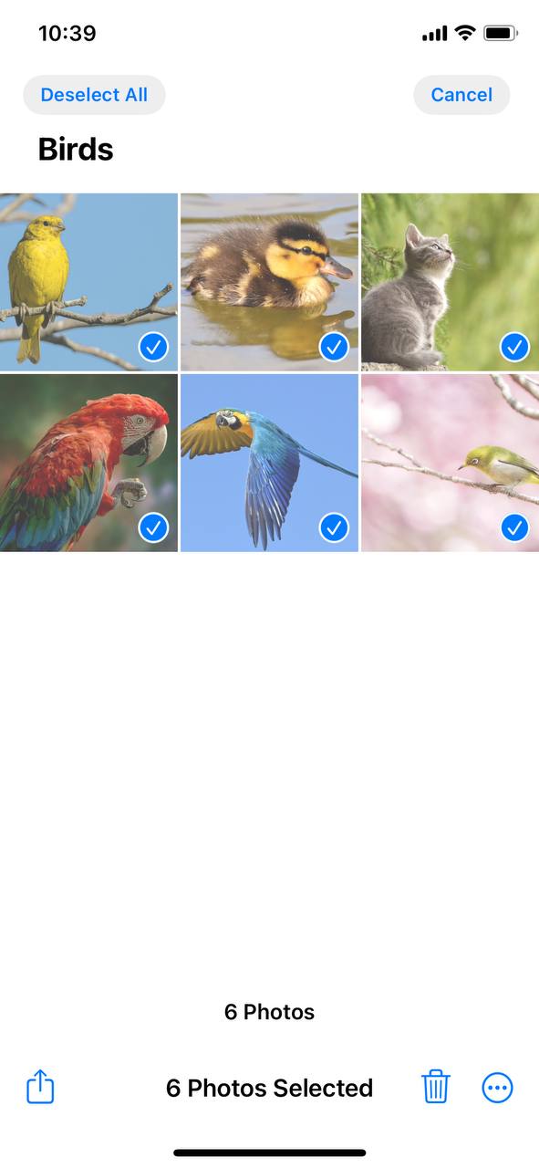 select multiple photos on iphone