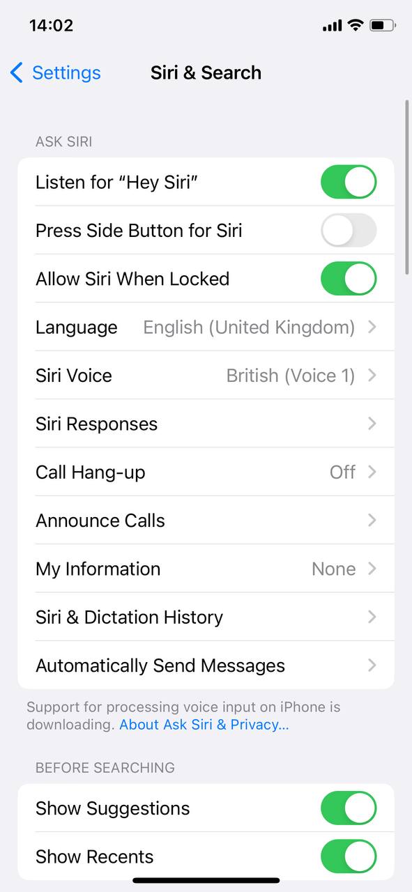 siri & dictation history