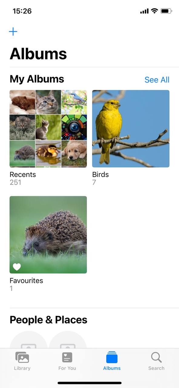 albums tab