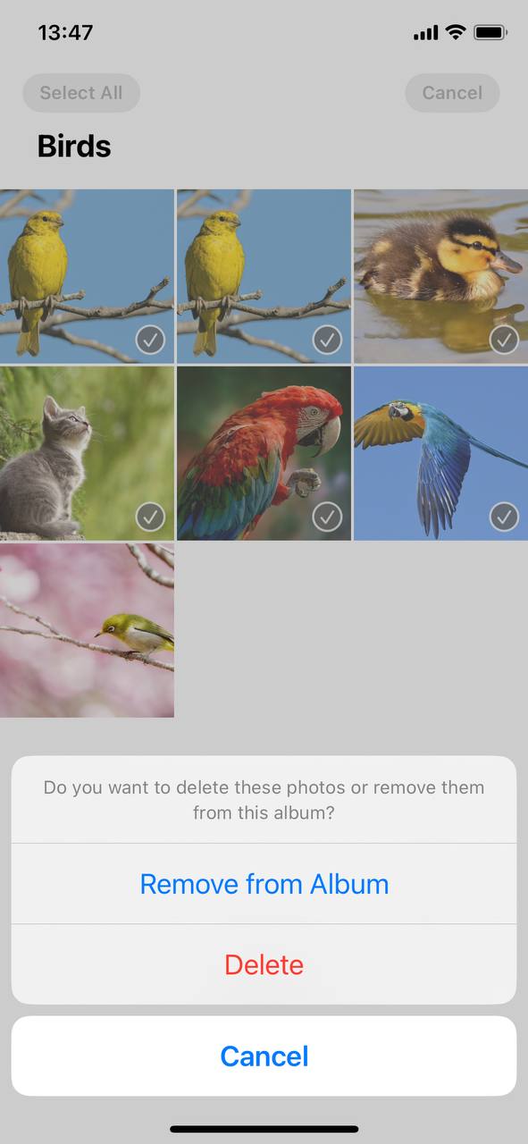 Delete photos