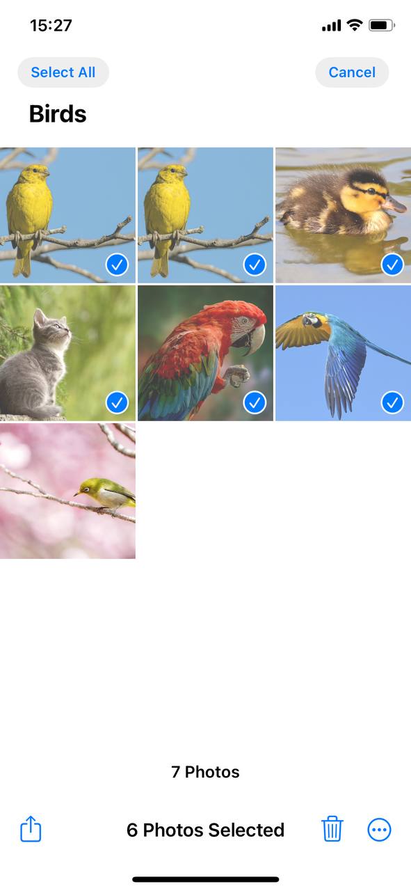 selecting photos