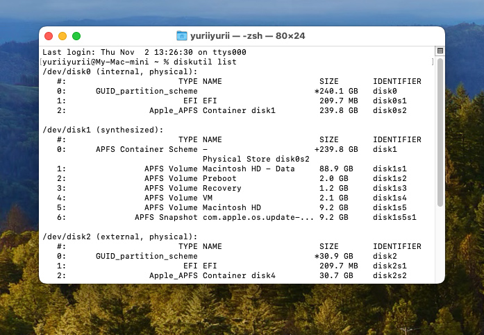 diskutil list