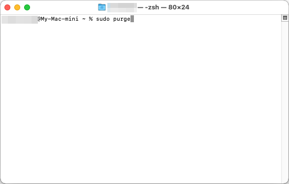 sudo purge command
