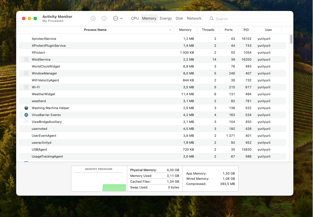 Activity Monitor Memory